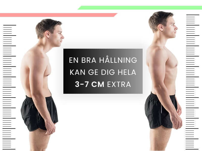 jämförelse av längd med och utan backzter